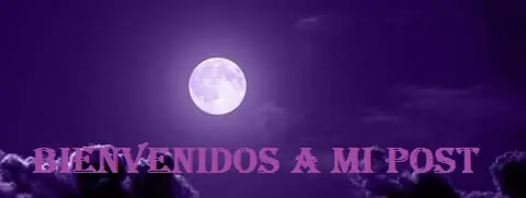 Mitos del cerebro humano que no son cierto