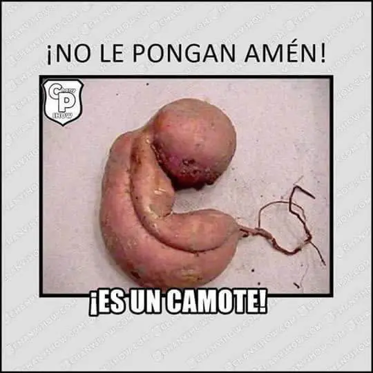 humor