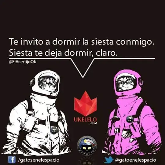 memes