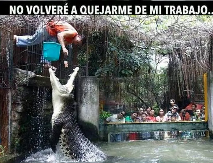 trabajo