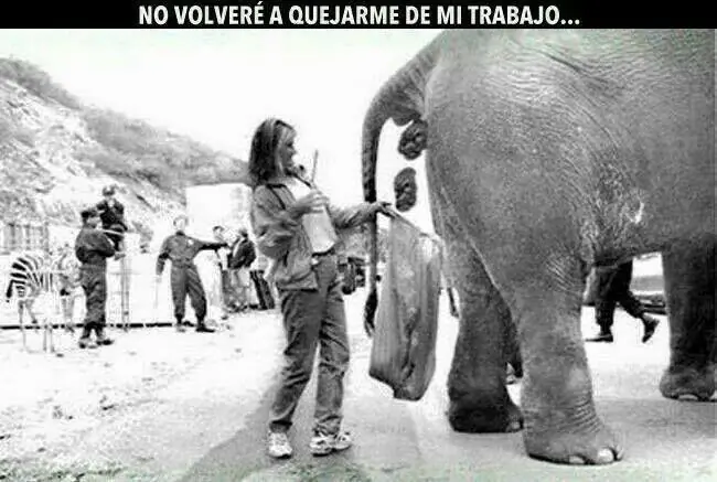 no quejarse