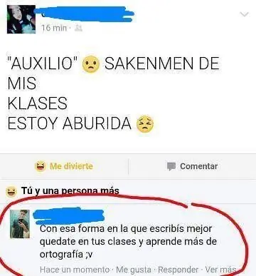 Algunas pequeñas locuras que subieron a la red