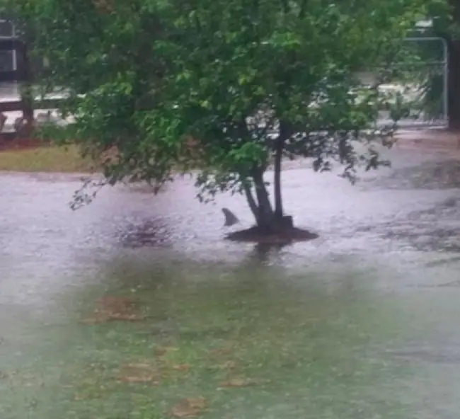 Fotos