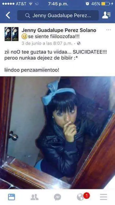 Algunas pequeñas locuras que subieron a la red