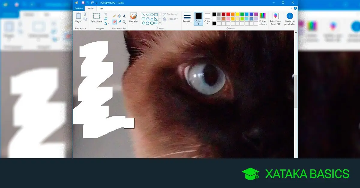 paint
