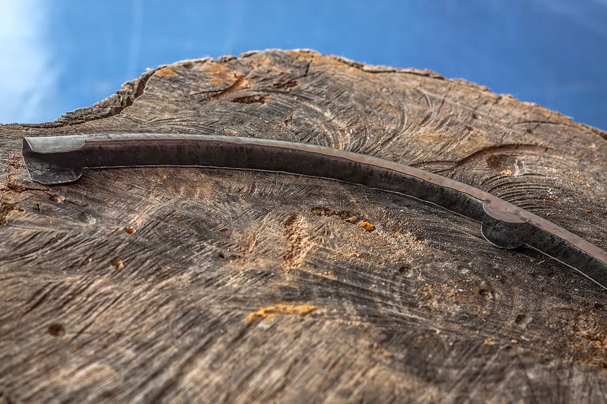 Fabricación de un auténtico escudo íbero - parte 1