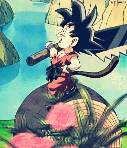 dragon ball