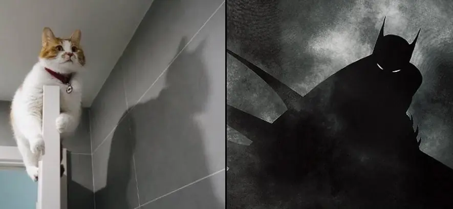 Sombras