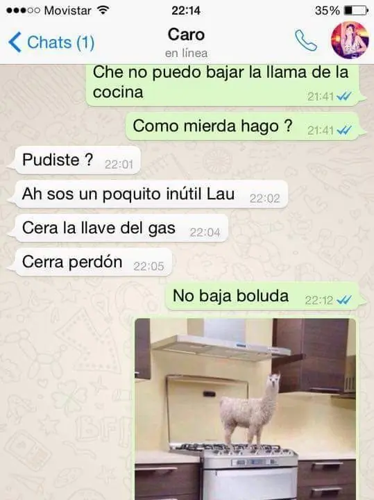 imagenes