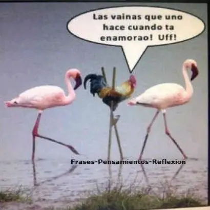 super