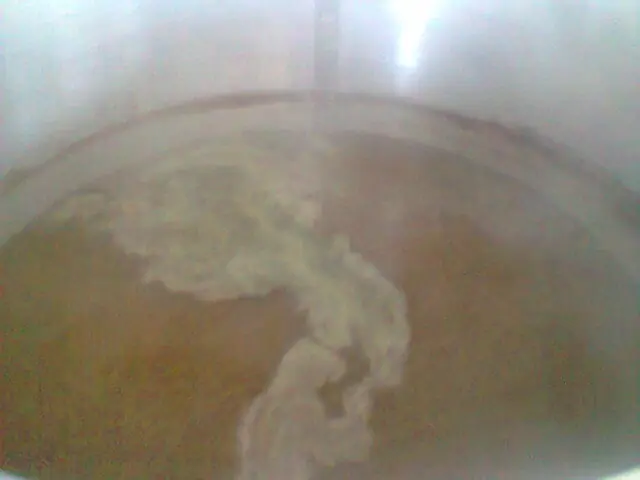 Cerveza artesanal