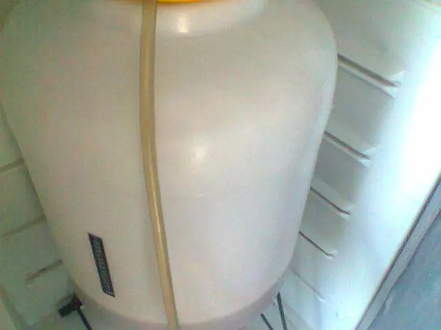 artesanal