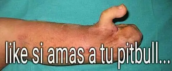 recopilacion