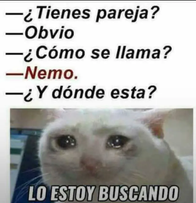 buenas