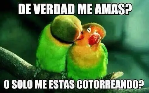 buenas