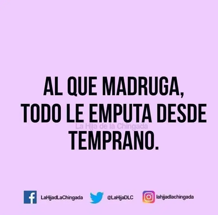 del dia