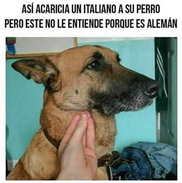 humor para pasar esta noche super feliz,te gustara...