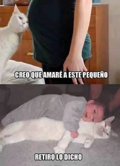 humor para pasar esta noche super feliz,te gustara...