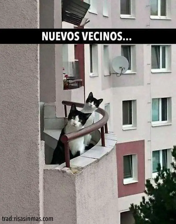 Crapazo de imagenes !