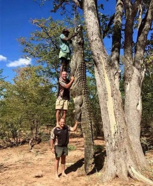 15 Fotos que requieren una aclaración de inmediato