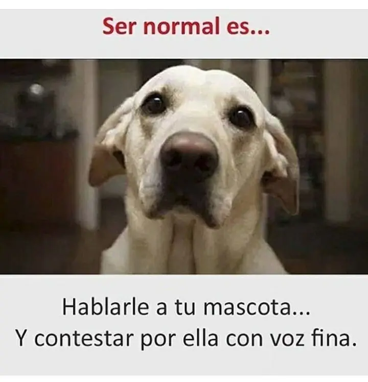 imagenes