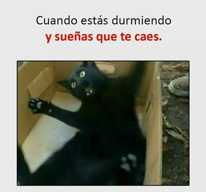 memes
