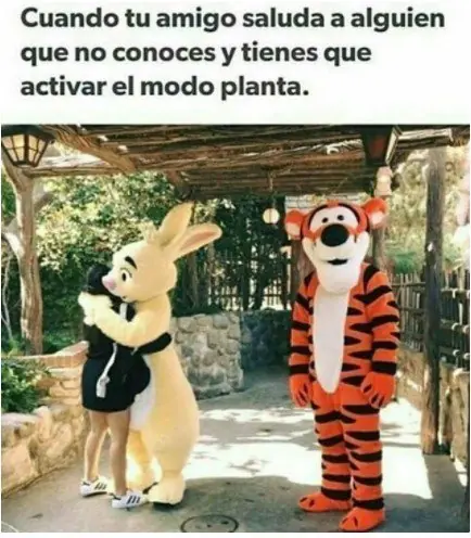 imagenes