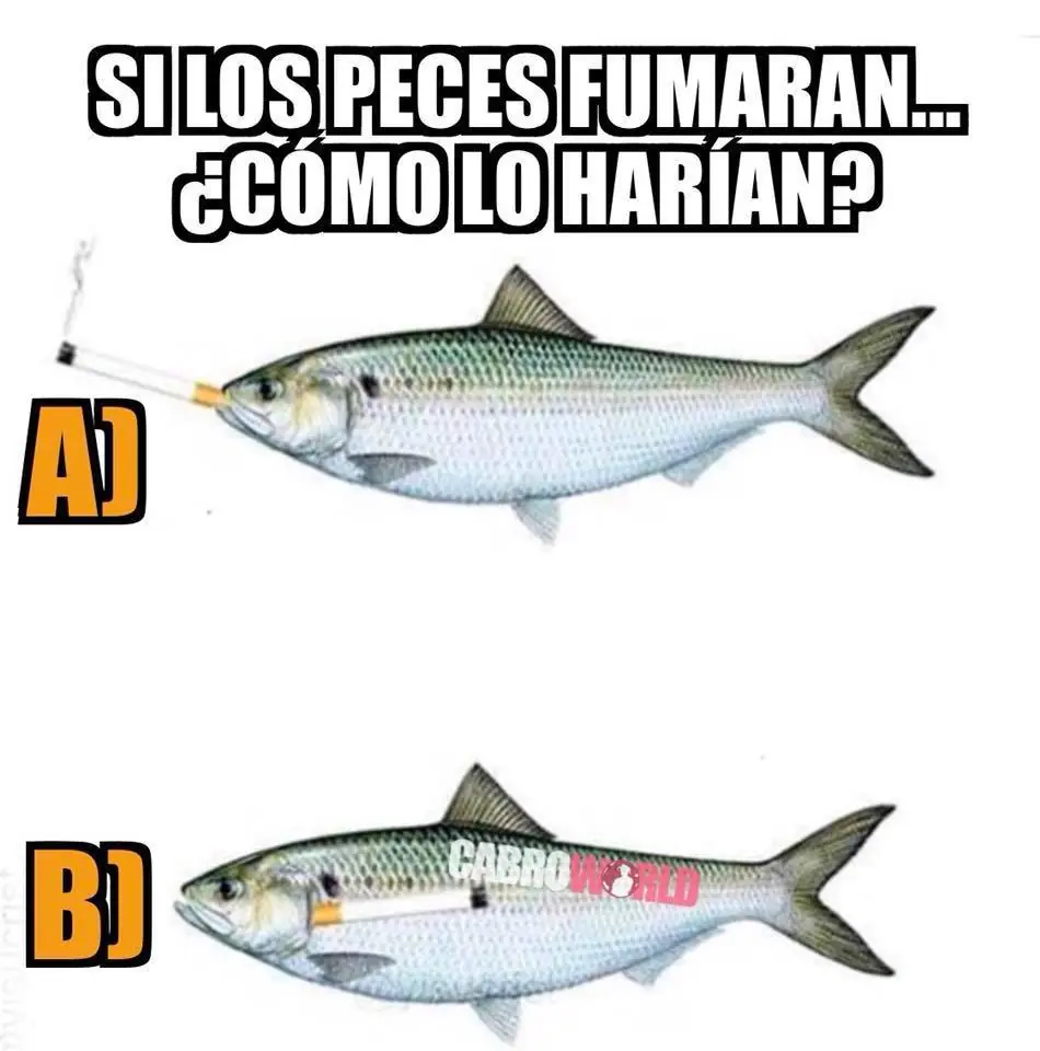 memes