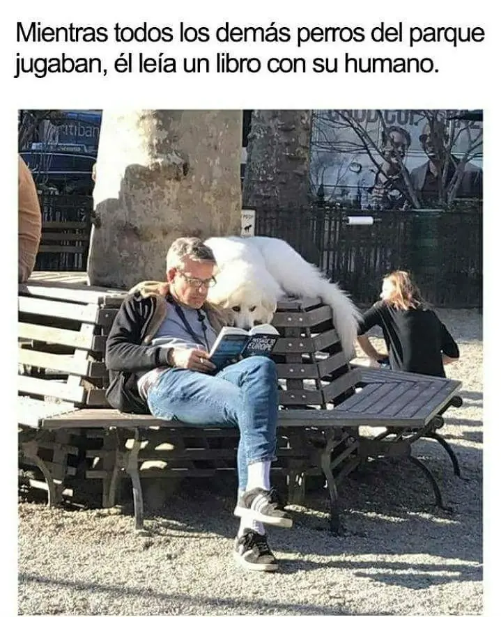 crapazo