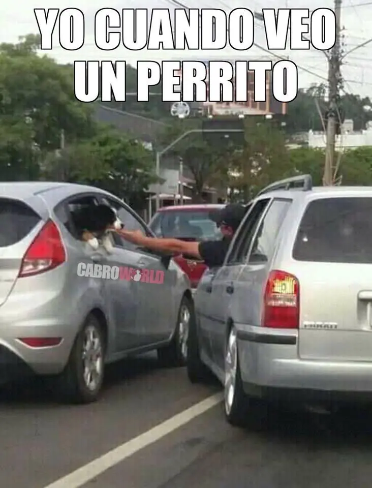 imagenes