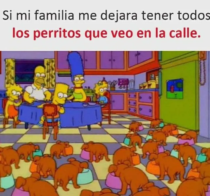 imagenes de Humor at night