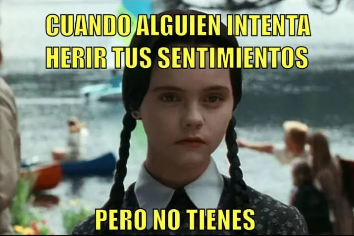 fotos