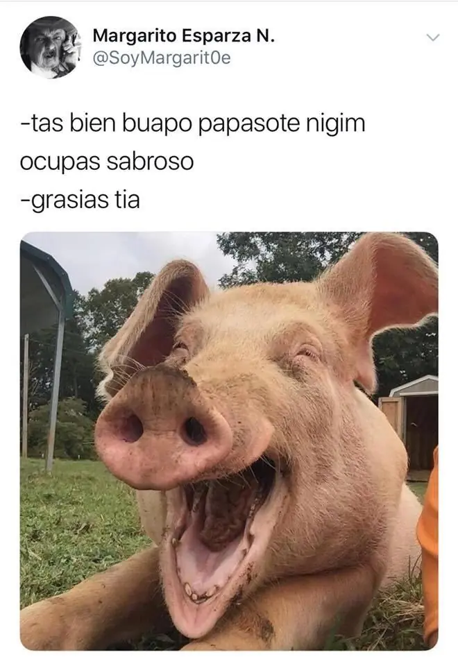 recopilacion