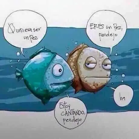 humor