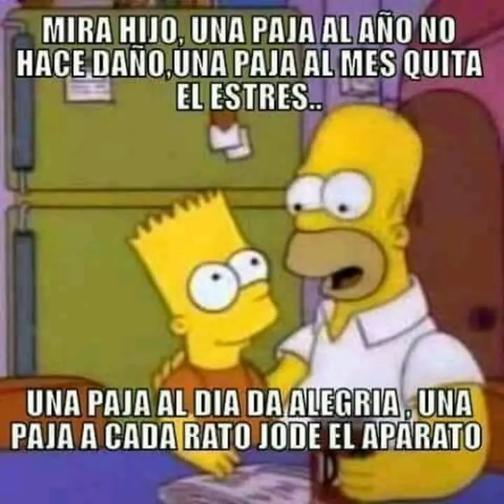 memes piolas x40