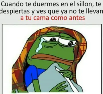 reite