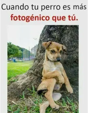 humor