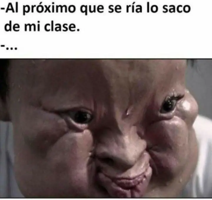 reite