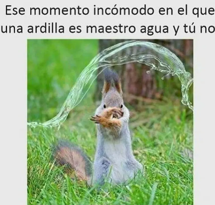 humor