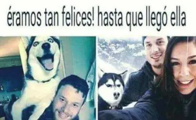 Reite con estas imagenes!