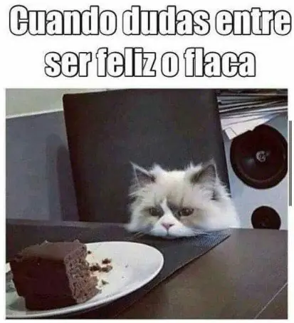 reite