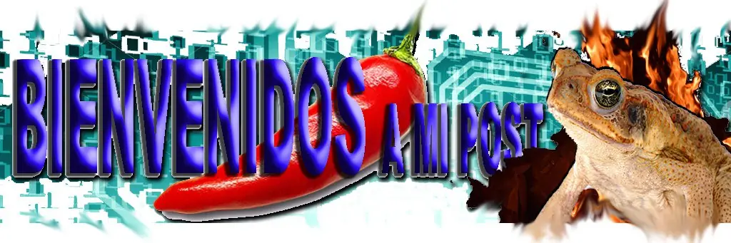 El hit del verano “Gracias a Macri me volví peronista”