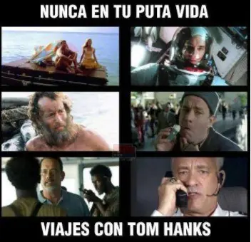 reite