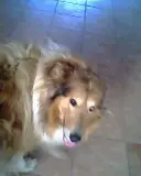 dios te tenga