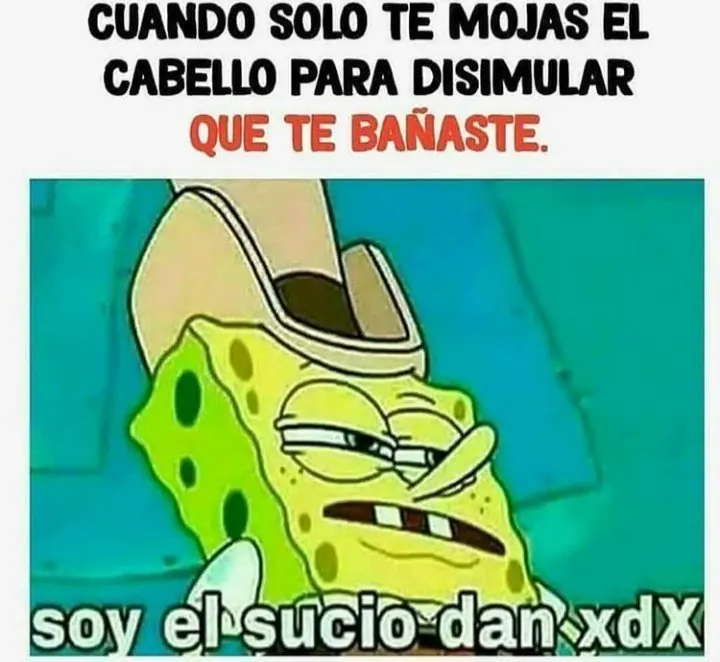 conestas