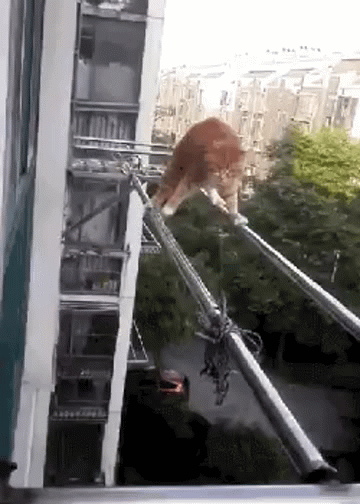 MegaCrap de Viernes: Gifs al borde de la muerte!