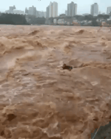 MegaCrap de Viernes: Gifs al borde de la muerte!