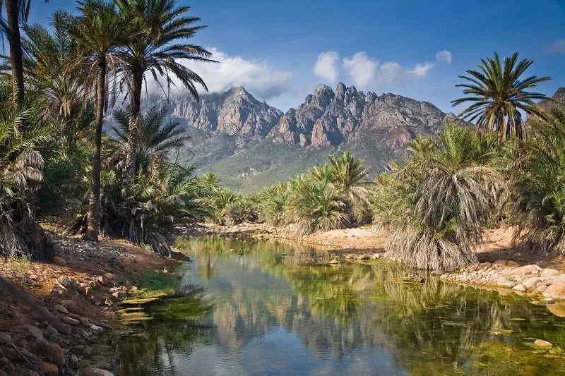 socotra