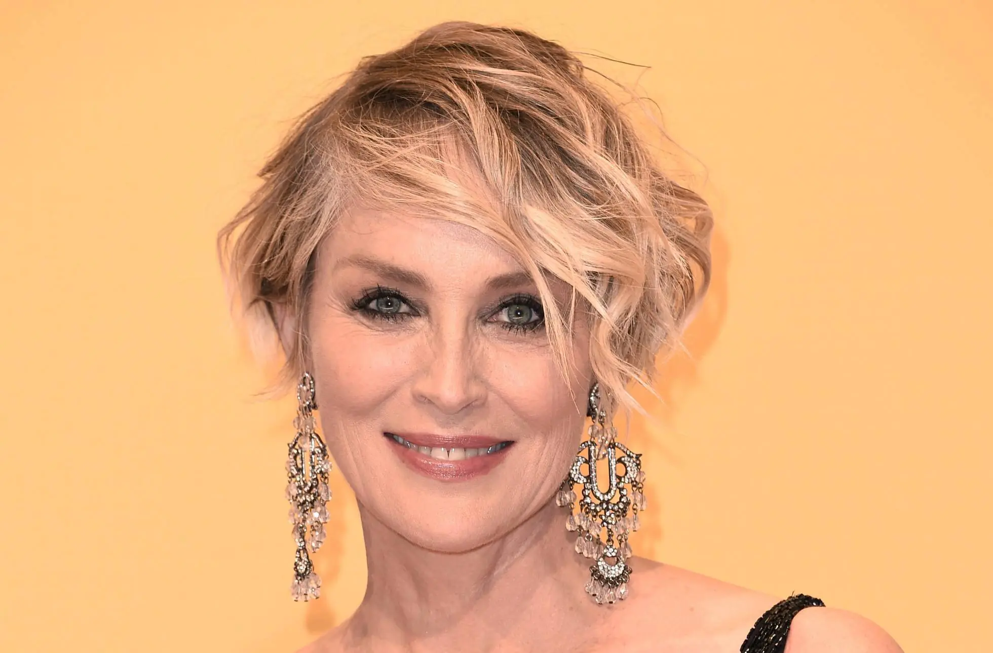 10 cosas que debes saber de Sharon Stone en su 60 cumpleaños