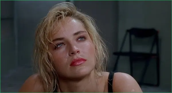 sharon stone 60 anos
